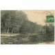 carte postale ancienne 72 SAINT-LEONARD-DES-BOIS. Jetée Forge Collet 1916