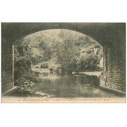 carte postale ancienne 72 SAINT-LEONARD-DES-BOIS. Pont et Puits des Sarrazins