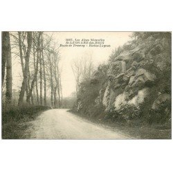 carte postale ancienne 72 SAINT-LEONARD-DES-BOIS. Route Fresnay Roches-Lagnon