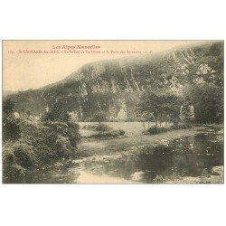 carte postale ancienne 72 SAINT-LEONARD-DES-BOIS. Vallée Narbonne Puits des Sarrazins