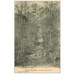 carte postale ancienne 72 SILLE-LE-GUILLAUME. Forêt au Saut du Cerf
