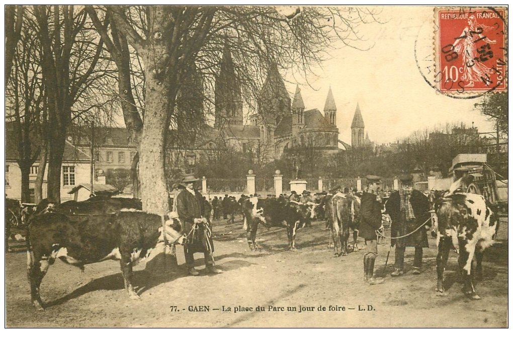 14 CAEN. Marché aux Bestiaux. La Place jour de Foire 1908