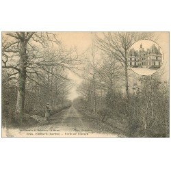 carte postale ancienne 72 VIBRAYE. La Forêt avec promeneur 1927