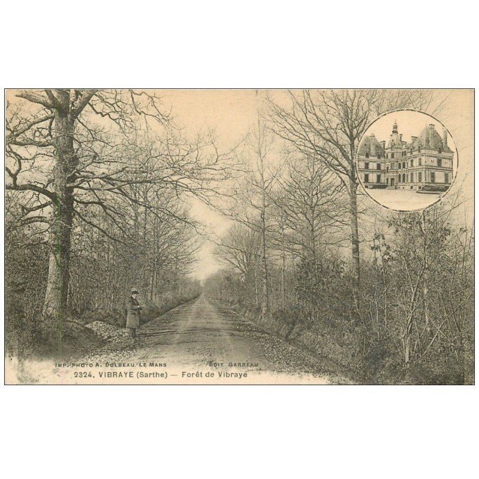 VIBRAYE, SARTHE, RUE DE LA RIVIERE, CPA