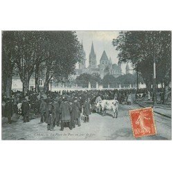carte postale ancienne 14 CAEN. Place du Parc Jour de Foire aux Bestiaux 1909