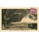 carte postale ancienne 74 ANNECY. Promenade Avenue d'Albigny 1934