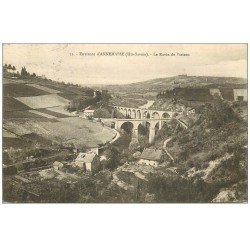 carte postale ancienne 74 ANNEMASSE. Le Ravin de Viaison