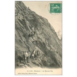 carte postale ancienne 74 CHAMONIX. Troupeau de Chèvres sur Le Mauvais Pas 1910
