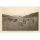 carte postale ancienne 74 COL DES ARAVIS. Troupeau d'Alpage vaches