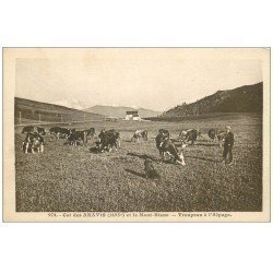 carte postale ancienne 74 COL DES ARAVIS. Troupeau d'Alpage vaches