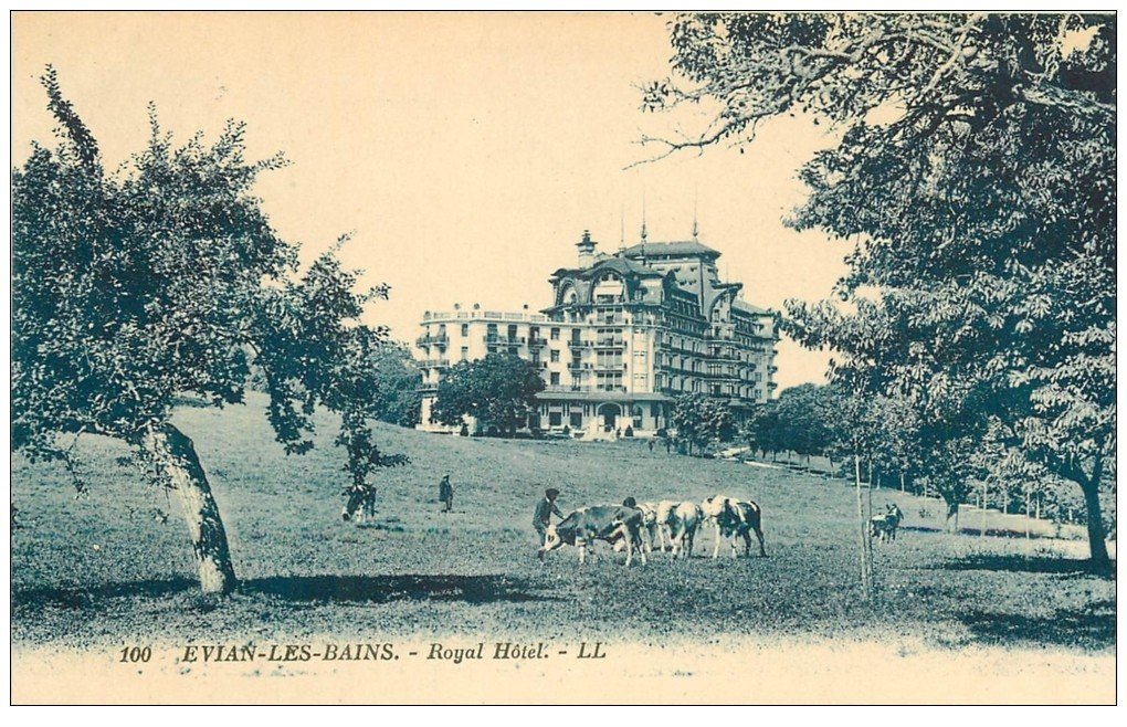 carte postale ancienne 74 EVIAN-LES-BAINS. Royal-Hôtel et Vaches dans les Prés