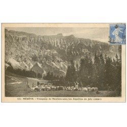 carte postale ancienne 74 MEGEVE. Troupeau de Moutons Aiguille Joly