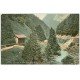 carte postale ancienne 74 ROUTE DES ETROITS. Vallée du Borne