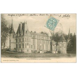 carte postale ancienne 14 CHATEAU DE SAINT-MARTIN DE BIENFAITE 1904