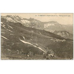 carte postale ancienne 74 SAINT-GERVAIS-LES-BAINS. Gardienne et Vaches Pâturage de Montagne