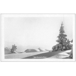 carte postale ancienne 74 SAINT-GERVAIS-LES-BAINS. Sapins sous la neige. Photo Maudamez