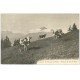 carte postale ancienne 74 SAINT-GERVAIS-LES-BAINS. Vaches Pâturage Col de Voza