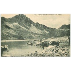 carte postale ancienne 74 VALLEE DU BORNE. Troupeau de Vaches au Lac de Lessy