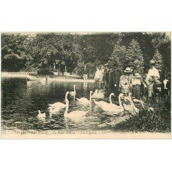 carte postale ancienne 26 VALENCE. Les Cygnes au Parc Jouvet