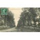 carte postale ancienne 78 MAISONS-LAFFITTE. Avenue de Gambais