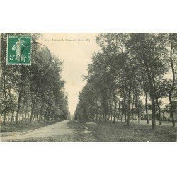 carte postale ancienne 78 MAISONS-LAFFITTE. Avenue de Gambais