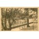 carte postale ancienne 78 ANDRESY. Petit Bain club Nautique 1936