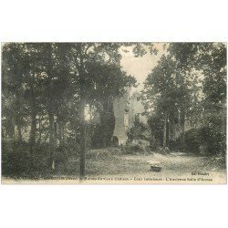 carte postale ancienne 02 FERE-EN-TARDENOIS. Ruines Vieux Château Salle d'Armes