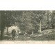78 BRASSEUIL. La Prairie Fermière et Vaches