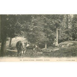78 BRASSEUIL. La Prairie Fermière et Vaches