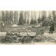 carte postale ancienne 78 MANTES. Ile aux Dames Pont Rustique 1921