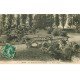 carte postale ancienne 78 MANTES. Ile aux Dames Pont Rustique 1909