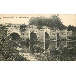 carte postale ancienne 78 MANTES-LA-JOLIE. Vieux Pont de Limay avec personnage dans les herbes