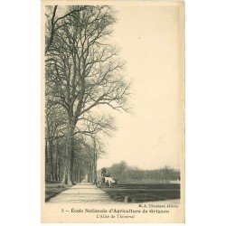 carte postale ancienne 78 GRIGNON. Ecole Nationale Agriculture. Allée Thiverval