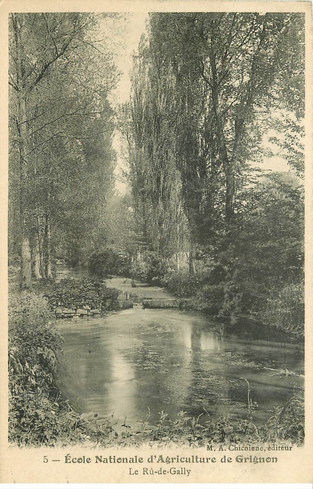 carte postale ancienne 78 GRIGNON. Ecole Nationale Agriculture. Rû-de-Gally