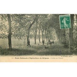carte postale ancienne 78 GRIGNON. Ecole Nationale Agriculture. Ane Allée des Tilleuls