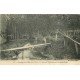 carte postale ancienne 78 CERNAY-LA-VILLE. Etablissement Pisciculture. Bouillon Kub