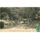 carte postale ancienne 78 CERNAY-LA-VILLE. Les Cascades 1910 animation