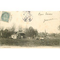 carte postale ancienne 78 CHATOU. La Ferme et Vaches 1905