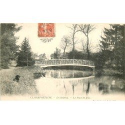 carte postale ancienne 78 CLAIREFONTAINE. Château le Pont de Bois 1910 avec Chien