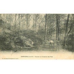 carte postale ancienne 78 DAMPIERRE. Source Fontaine des Fées animation 1911