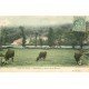 carte postale ancienne 78 JOUY-EN-JOSAS. Vaches au Pâturage bord de la Biévre 1907