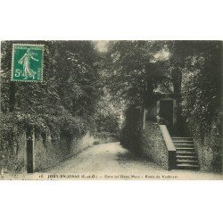 carte postale ancienne 78 JOUY-EN-JOSAS. Route de Vauboyen entre deux Murs avec personnage