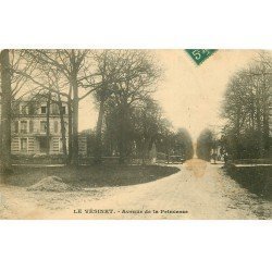 carte postale ancienne 78 LE VESINET. Avenue de la Princesse 1910