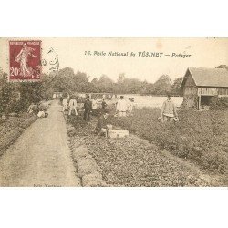 carte postale ancienne 78 LE VESINET. Asile. Le Potager 1925