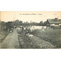 carte postale ancienne 78 LE VESINET. Asile. Le Potager