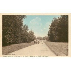carte postale ancienne 78 RAMBOUILLET. Le Parc Allée de la Grille aux Lapins