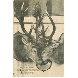 carte postale ancienne 78 RAMBOUILLET. Cerfs entrelacés Equipage de Bonnelles