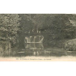 carte postale ancienne 78 NEAUPHLE-LE-VIEUX. Cascade du Château