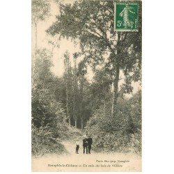 carte postale ancienne 78 NEAUPHLE-LE-CHATEAU. Bois de Villiers 1912