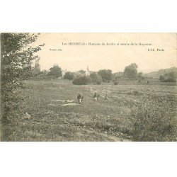 carte postale ancienne 78 LES MESNULS. Vaches au Hameau du Jardin et Source Guyonne 1909. Fine plissure